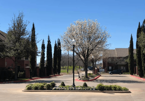 a city street with trees and a lamp post